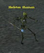 Skeleton Shaman